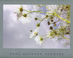 Tony Mendoza : Flowers