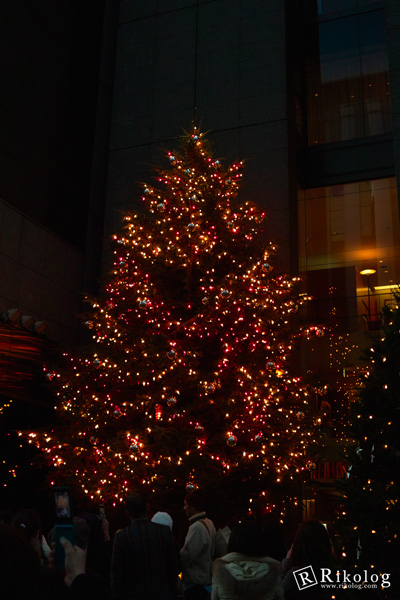 銀座ミキモトのクリスマスツリー